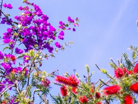 梦境花卉园艺，油画浪漫花卉画的艺术之旅梦境花园手绘图片成品