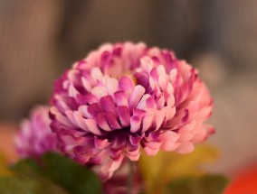 梦境中的花卉园艺与油画浪漫花卉画梦境花园手绘图片成品