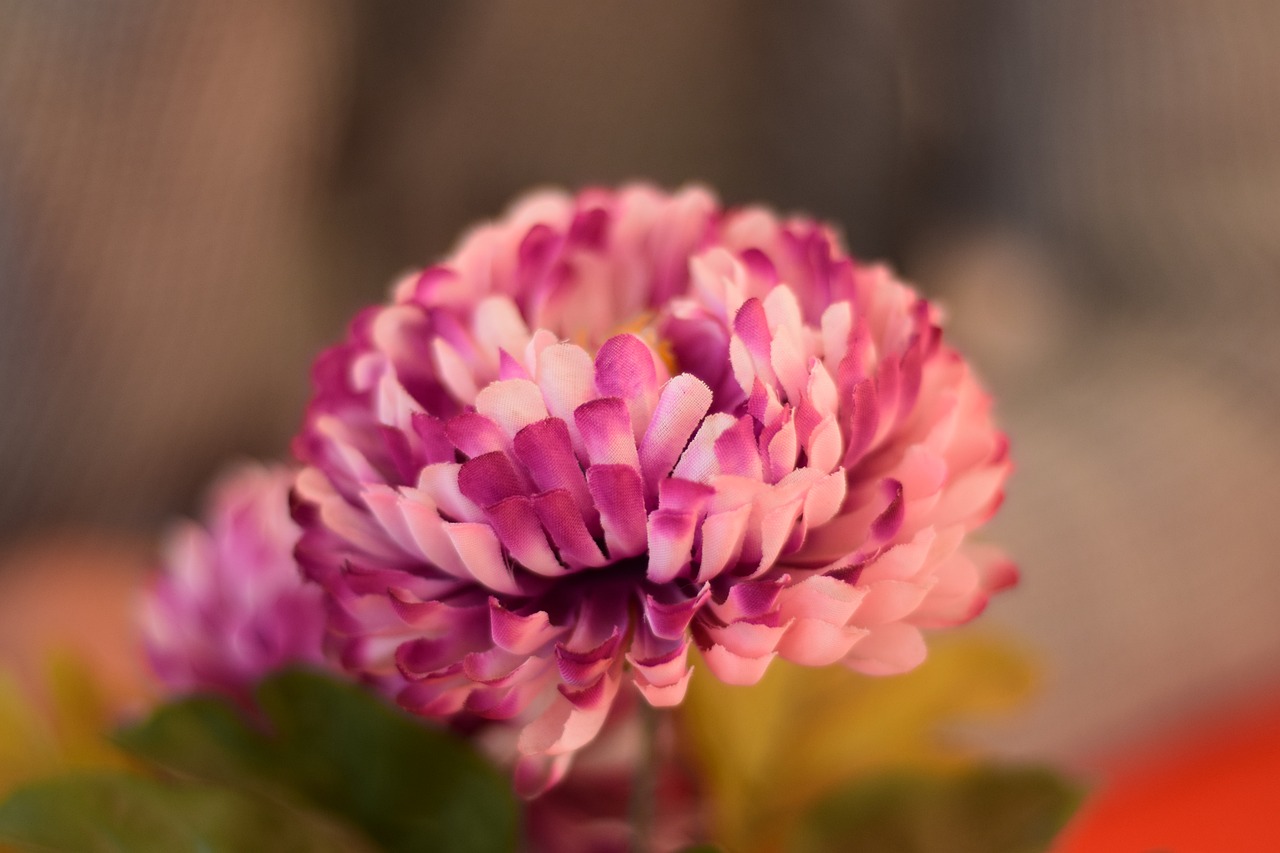 梦境中的花卉园艺与油画浪漫花卉画梦境花园手绘图片成品  第1张